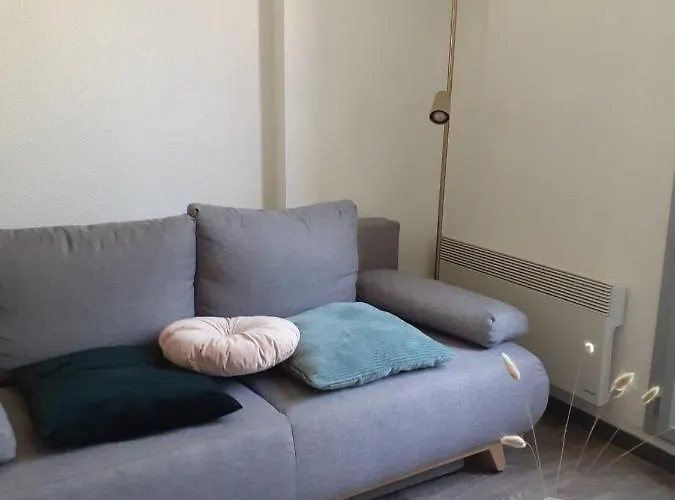 아파트 Refait A Neuf 40m2, Centre