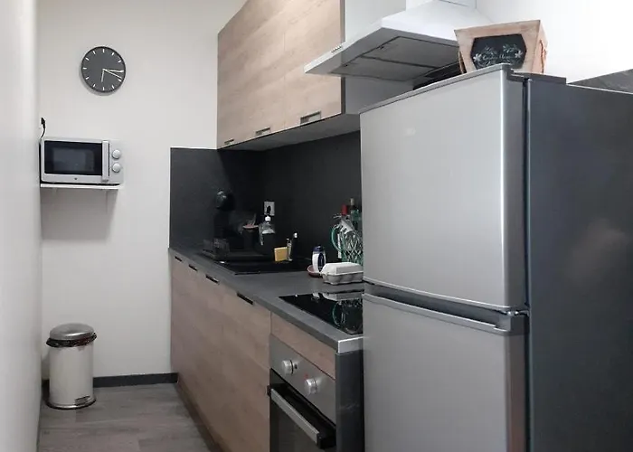 Refait A Neuf 40m2, Centre 아파트 *