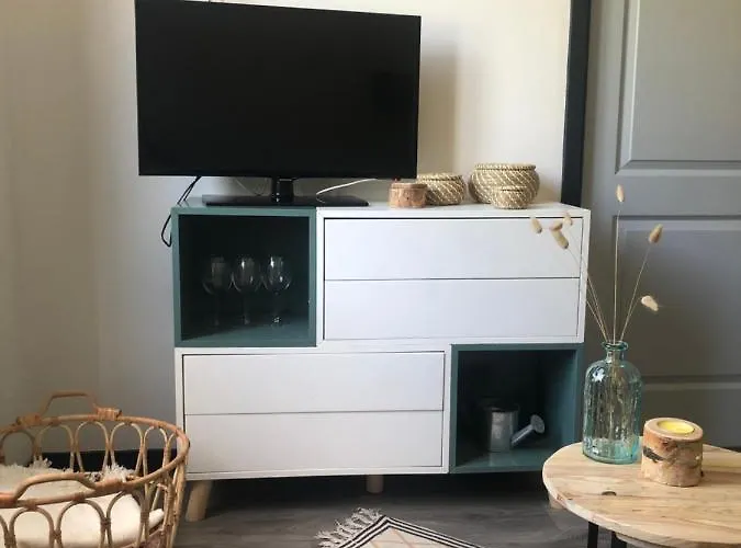 Refait A Neuf 40m2, Centre 아파트