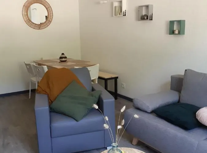 아파트 Refait A Neuf 40m2, Centre *