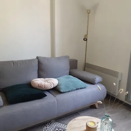 Apartment Refait A Neuf 40m2, Centre